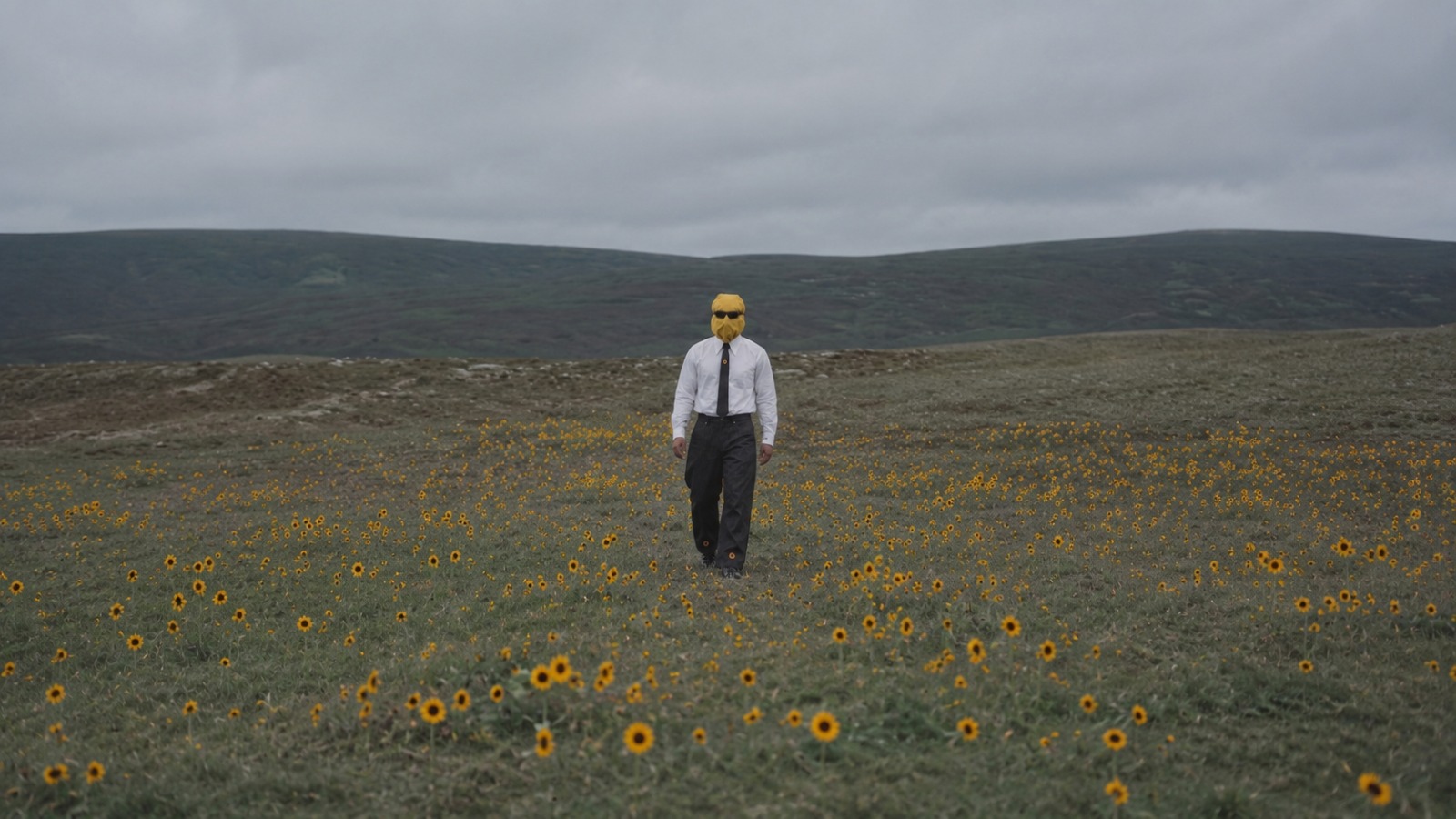 Mirai SS'26 sunflower field campaign